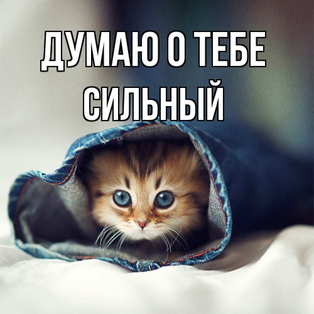 Открытка на каждый день с именем, Сильный Думаю о тебе мне без тебя плохо Прикольная открытка с пожеланием онлайн скачать бесплатно 