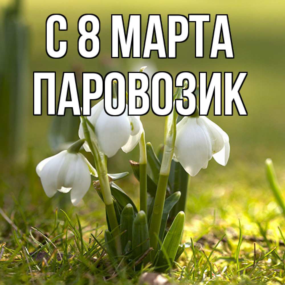 Открытка на каждый день с именем, паровозик C 8 МАРТА ранние цветы 2 Прикольная открытка с пожеланием онлайн скачать бесплатно 