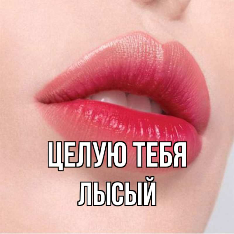 Картинка Целую тебя, Лысый