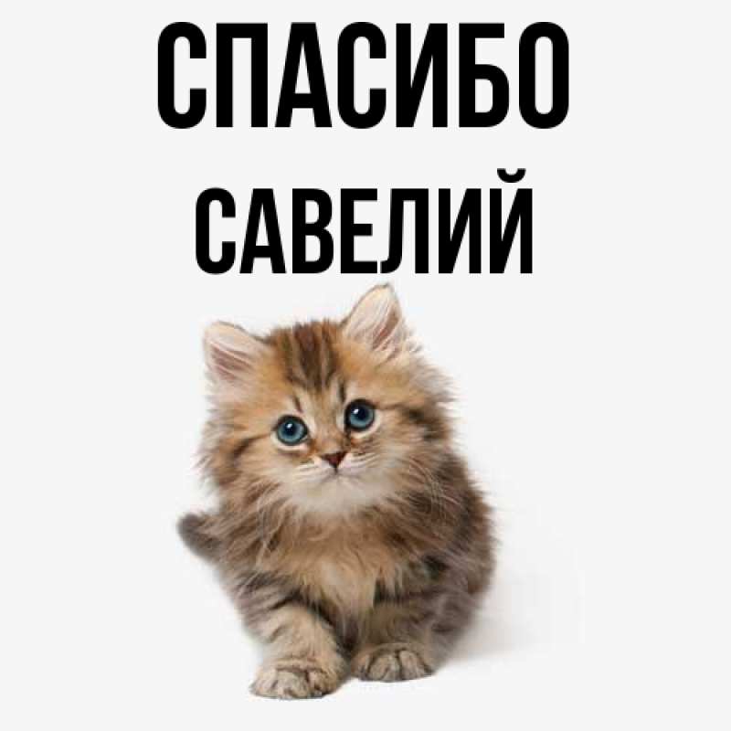 Картинка Спасибо, Савелий