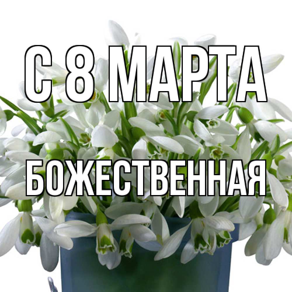 Открытка на каждый день с именем, божественная C 8 МАРТА цветы к международному женскому дню Прикольная открытка с пожеланием онлайн скачать бесплатно 