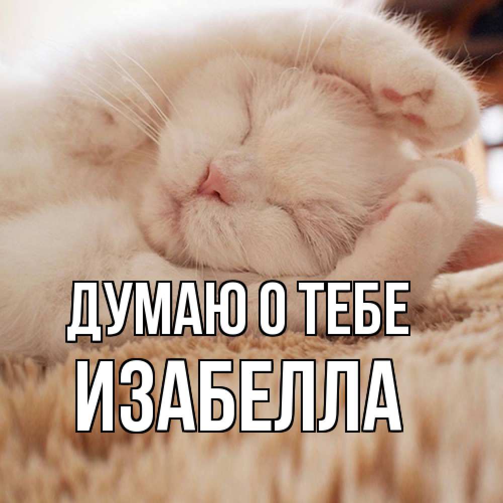 Открытка на каждый день с именем, Изабелла Думаю о тебе для любимой девушки милота Прикольная открытка с пожеланием онлайн скачать бесплатно 