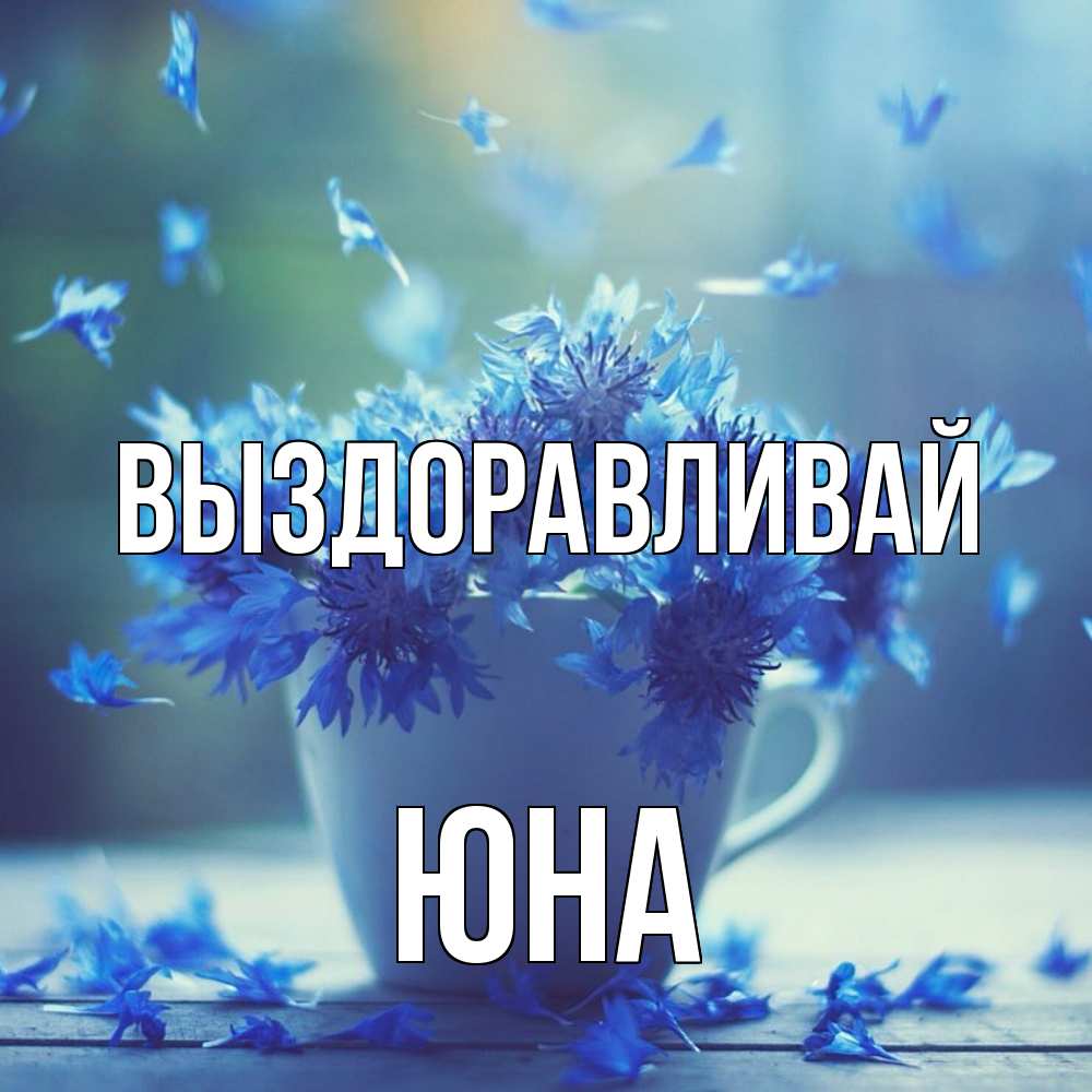 Открытка на каждый день с именем, Юна Выздоравливай кружка с зельем и цветами Прикольная открытка с пожеланием онлайн скачать бесплатно 