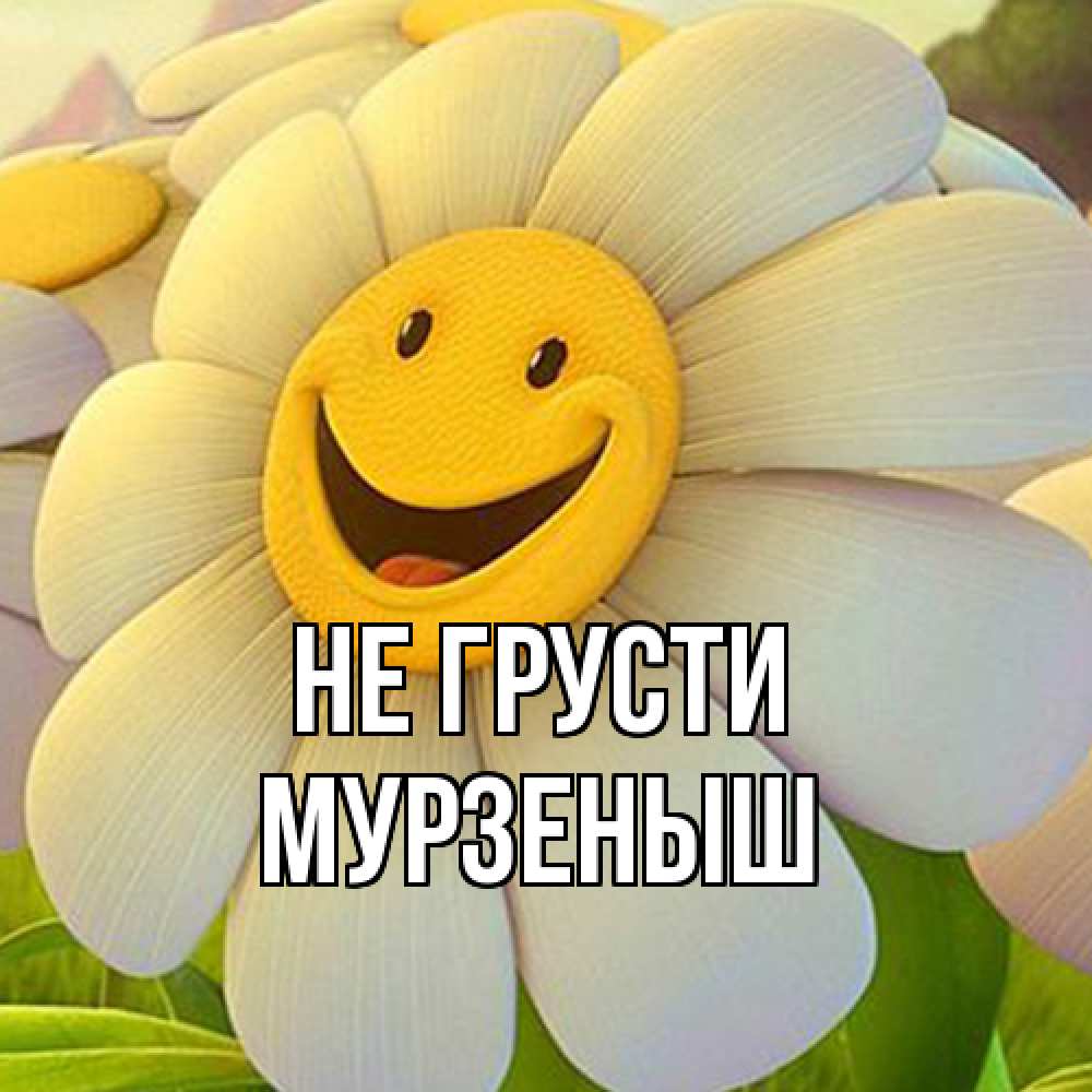 Открытка на каждый день с именем, мурзеныш Не грусти огромная улыбающаяся ромашуща Прикольная открытка с пожеланием онлайн скачать бесплатно 