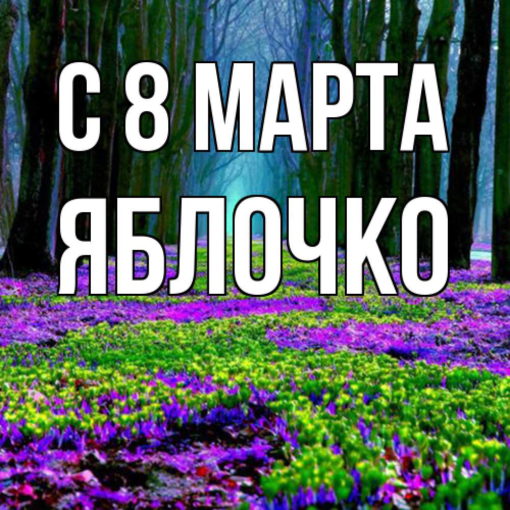 Открытка на каждый день с именем, яблочко C 8 МАРТА фиолетовые цветы в лесу 1 Прикольная открытка с пожеланием онлайн скачать бесплатно 