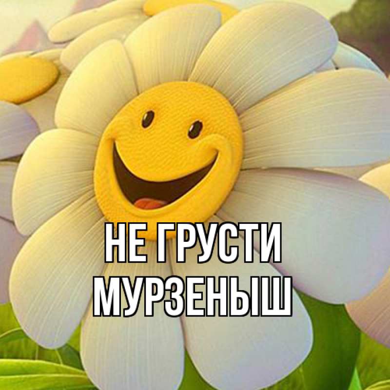 Картинка Не грусти, мурзеныш