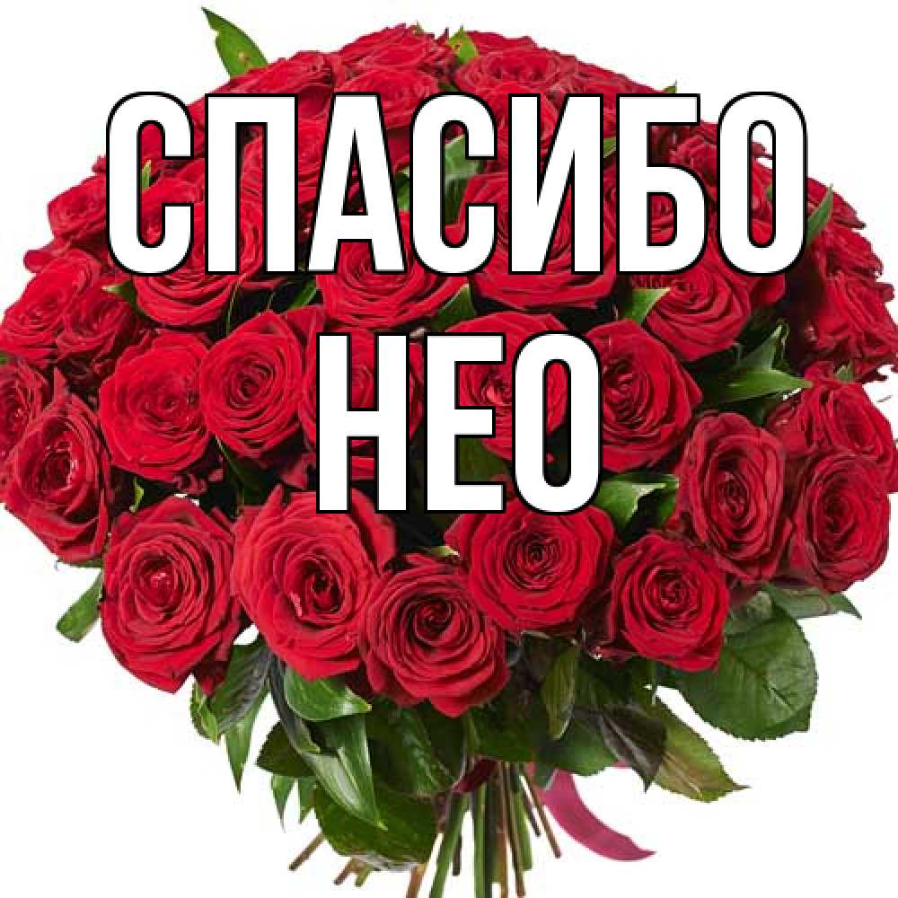 Открытка на каждый день с именем, Нео Спасибо букет красных роз Прикольная открытка с пожеланием онлайн скачать бесплатно 