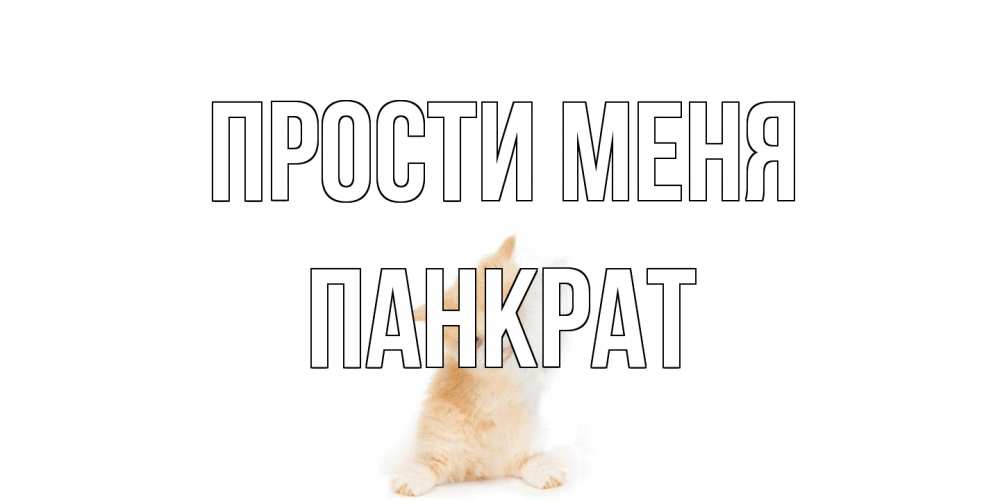 Открытка на каждый день с именем, Панкрат Прости меня кот Прикольная открытка с пожеланием онлайн скачать бесплатно 