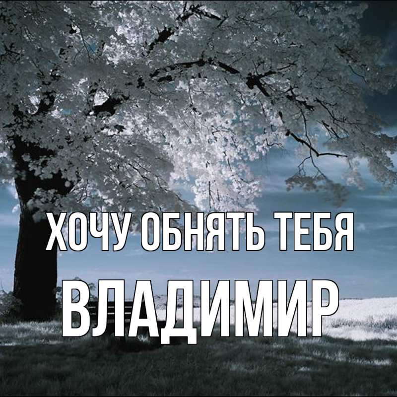 Картинка Хочу обнять тебя, Владимир