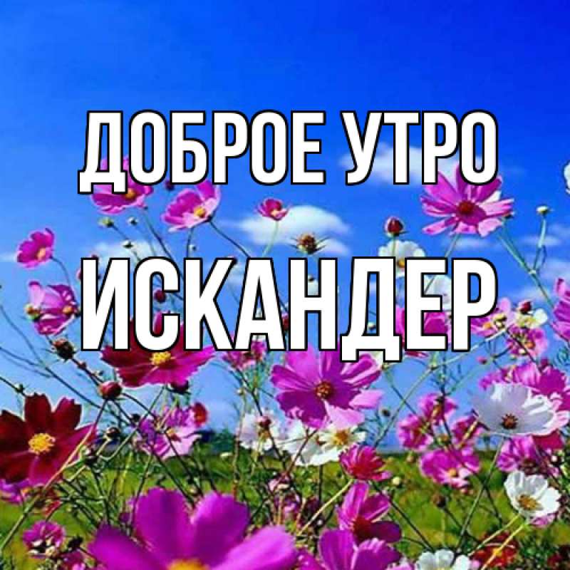 Картинка Доброе утро, Искандер