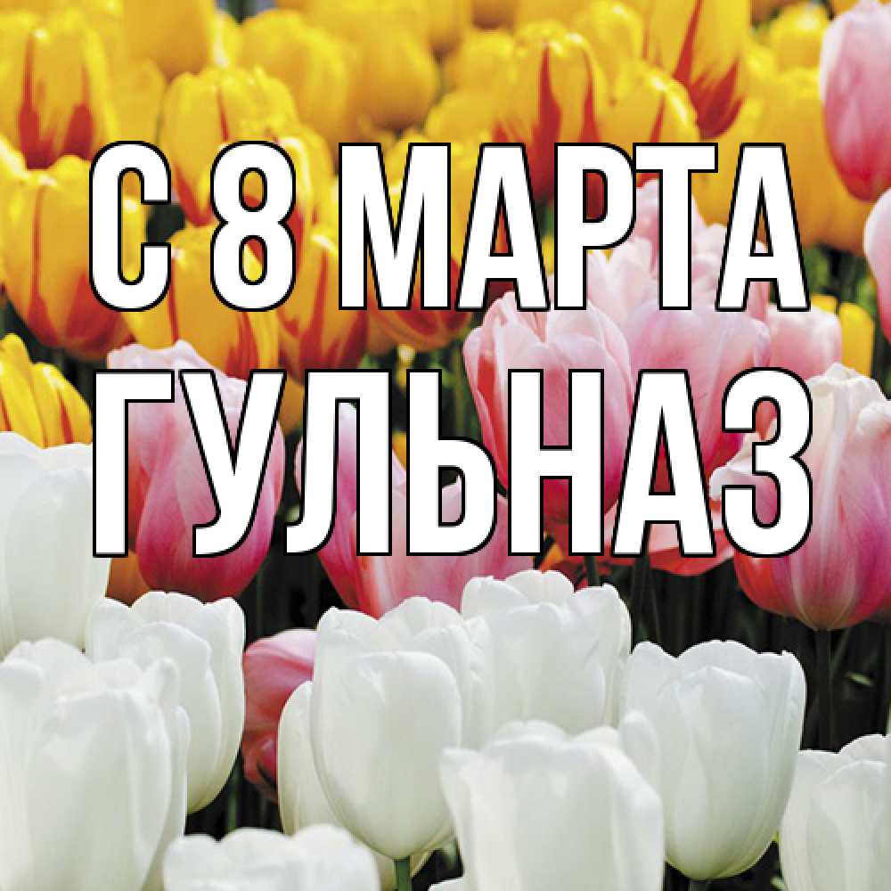 Открытка на каждый день с именем, Гульназ C 8 МАРТА разноцветные цветы Прикольная открытка с пожеланием онлайн скачать бесплатно 