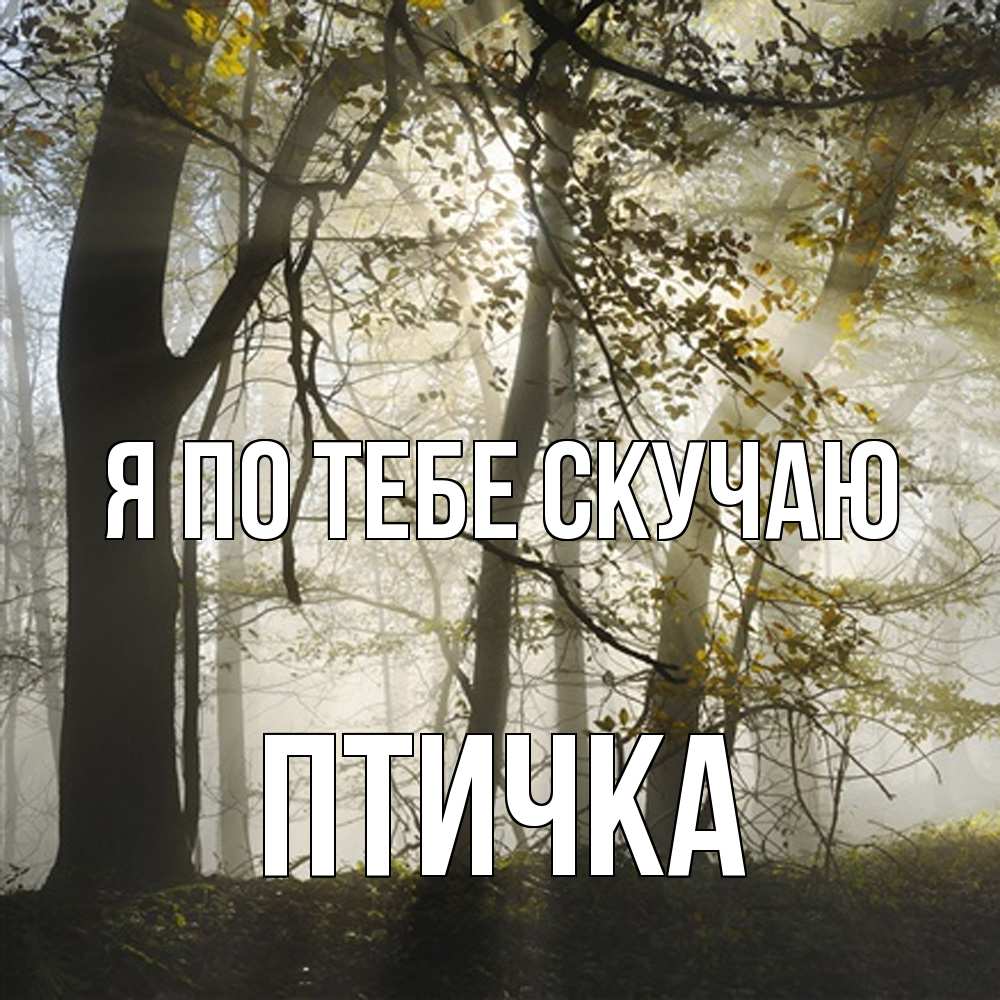 Открытка на каждый день с именем, Птичка Я по тебе скучаю грустно Прикольная открытка с пожеланием онлайн скачать бесплатно 