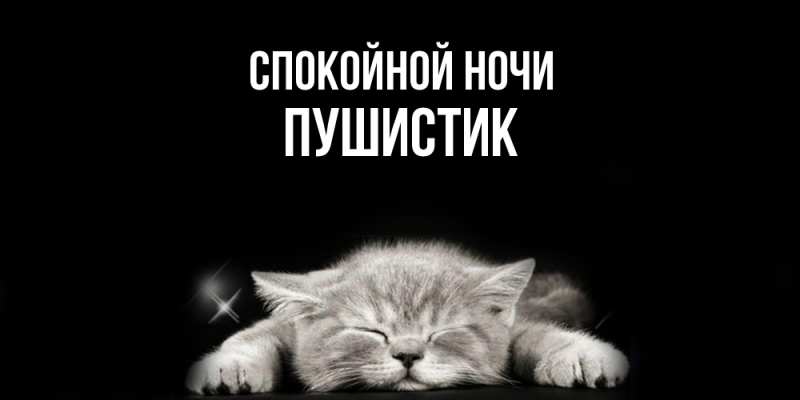 Картинка Спокойной ночи, Пушистик