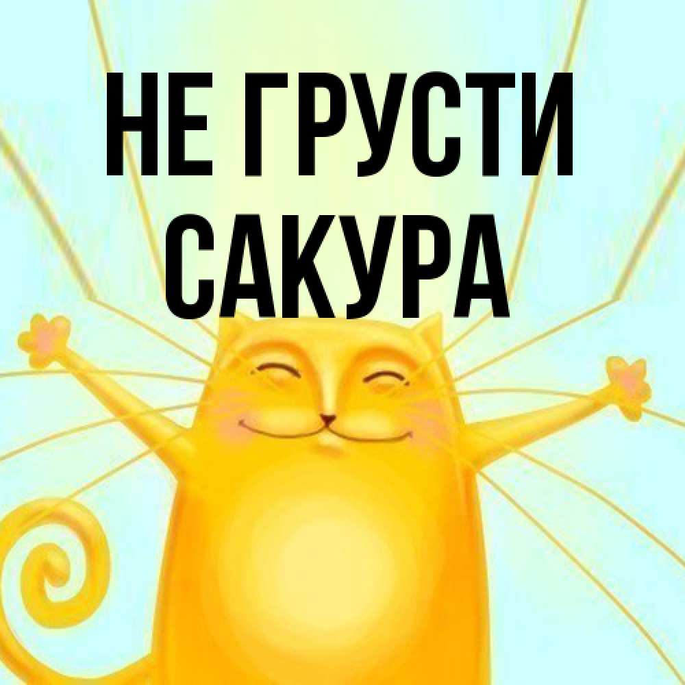 Открытка на каждый день с именем, Сакура Не грусти обнимашки усатые Прикольная открытка с пожеланием онлайн скачать бесплатно 