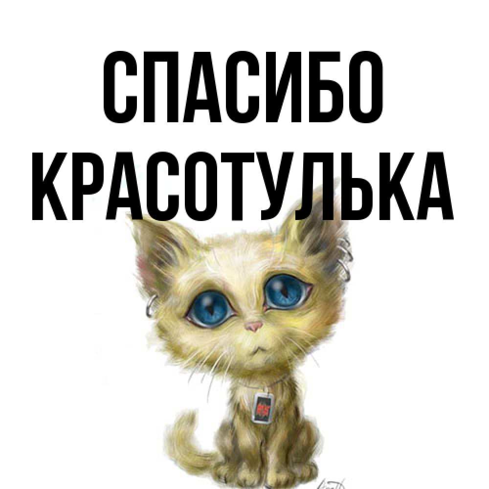 Открытка на каждый день с именем, красотулька Спасибо рисованный кот благодарит вас Прикольная открытка с пожеланием онлайн скачать бесплатно 