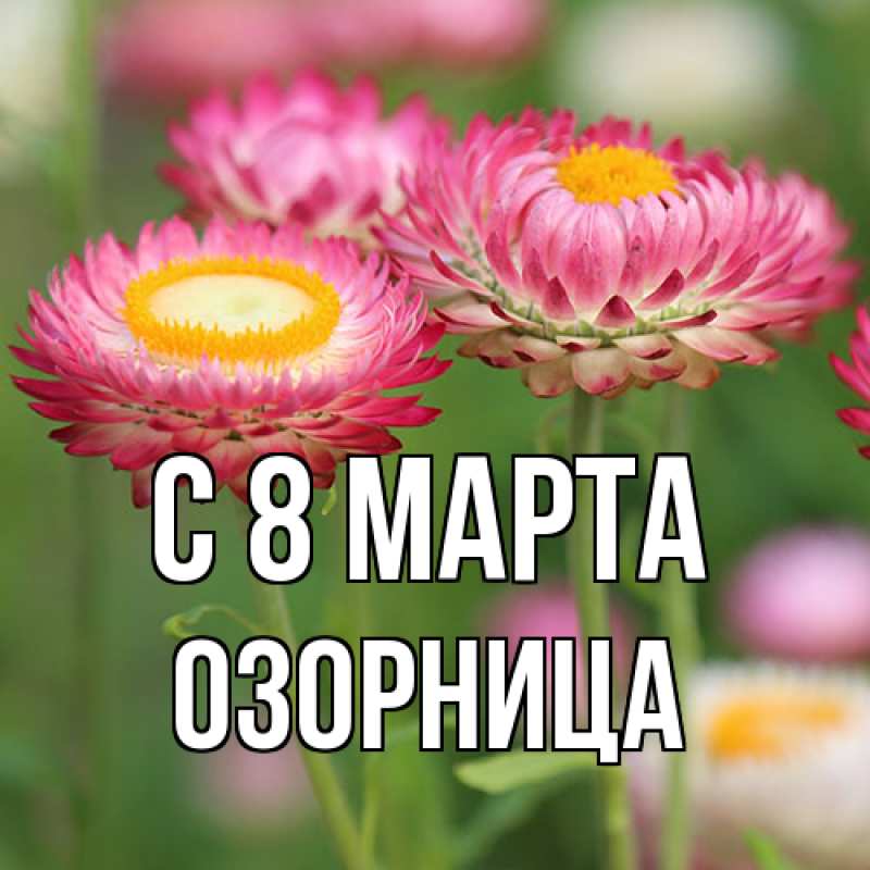 Открытка с именем, Озорница, C 8 МАРТА