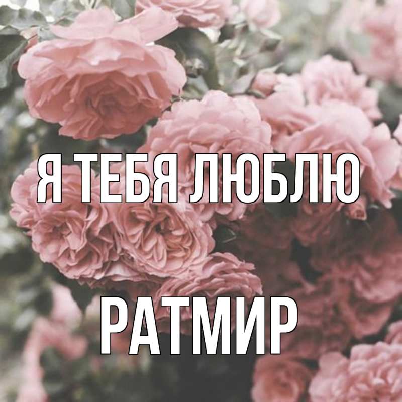 Картинка Я тебя люблю, Ратмир