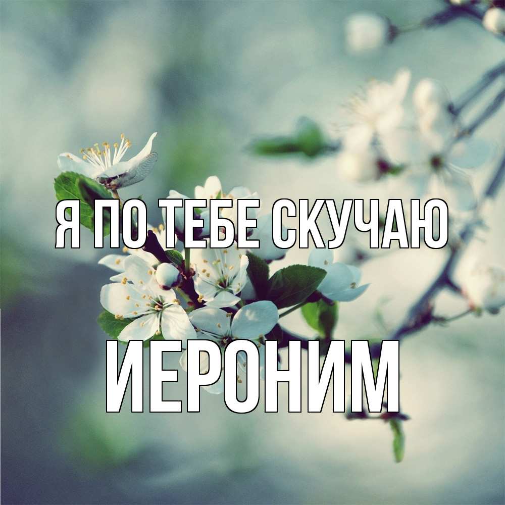 Открытка на каждый день с именем, Иероним Я по тебе скучаю весна Прикольная открытка с пожеланием онлайн скачать бесплатно 