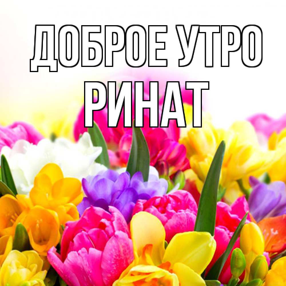 Открытка на каждый день с именем, Ринат Доброе утро создать открытку со свое подписью Прикольная открытка с пожеланием онлайн скачать бесплатно 