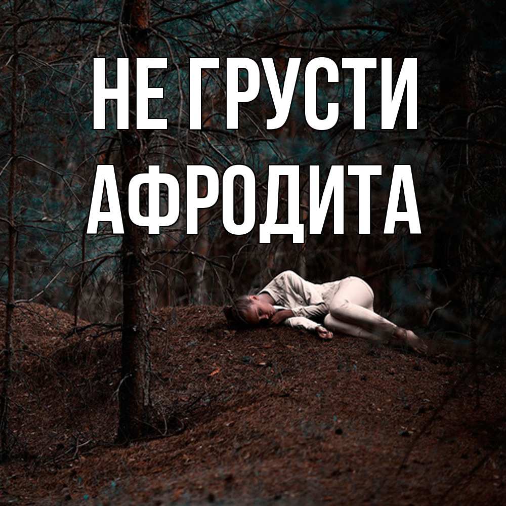 Открытка на каждый день с именем, Афродита Не грусти лес Прикольная открытка с пожеланием онлайн скачать бесплатно 