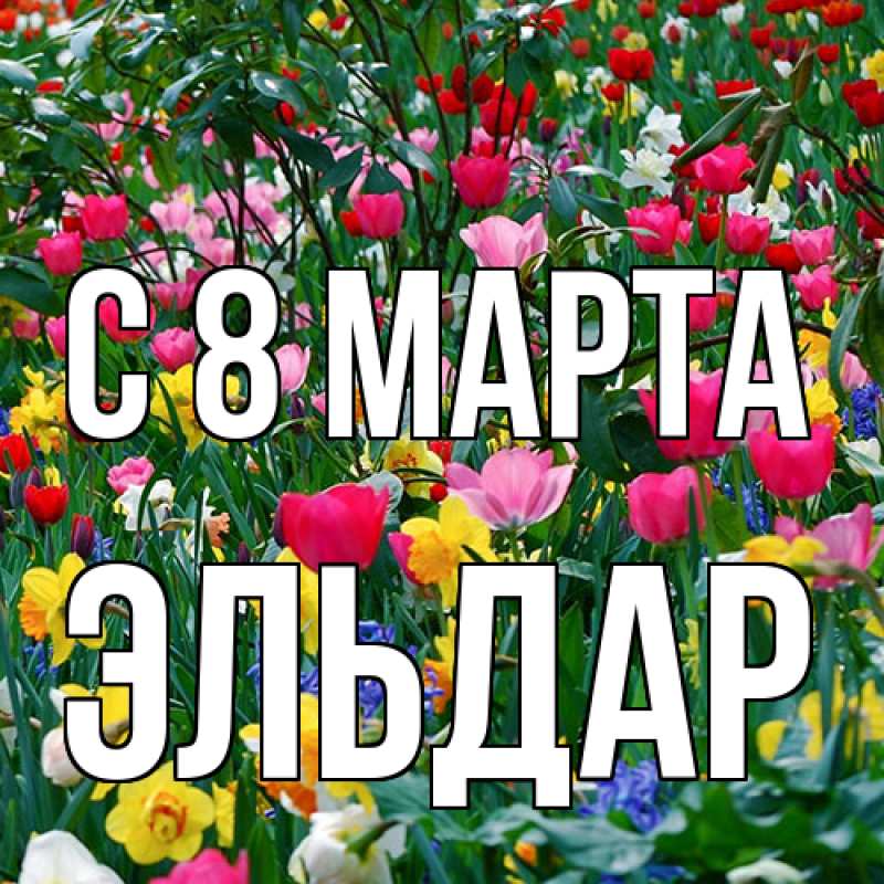 Картинка C 8 МАРТА, Эльдар