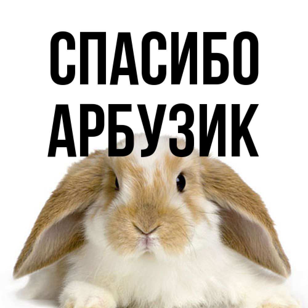 Открытка на каждый день с именем, Арбузик Спасибо коричнево белый заяц Прикольная открытка с пожеланием онлайн скачать бесплатно 