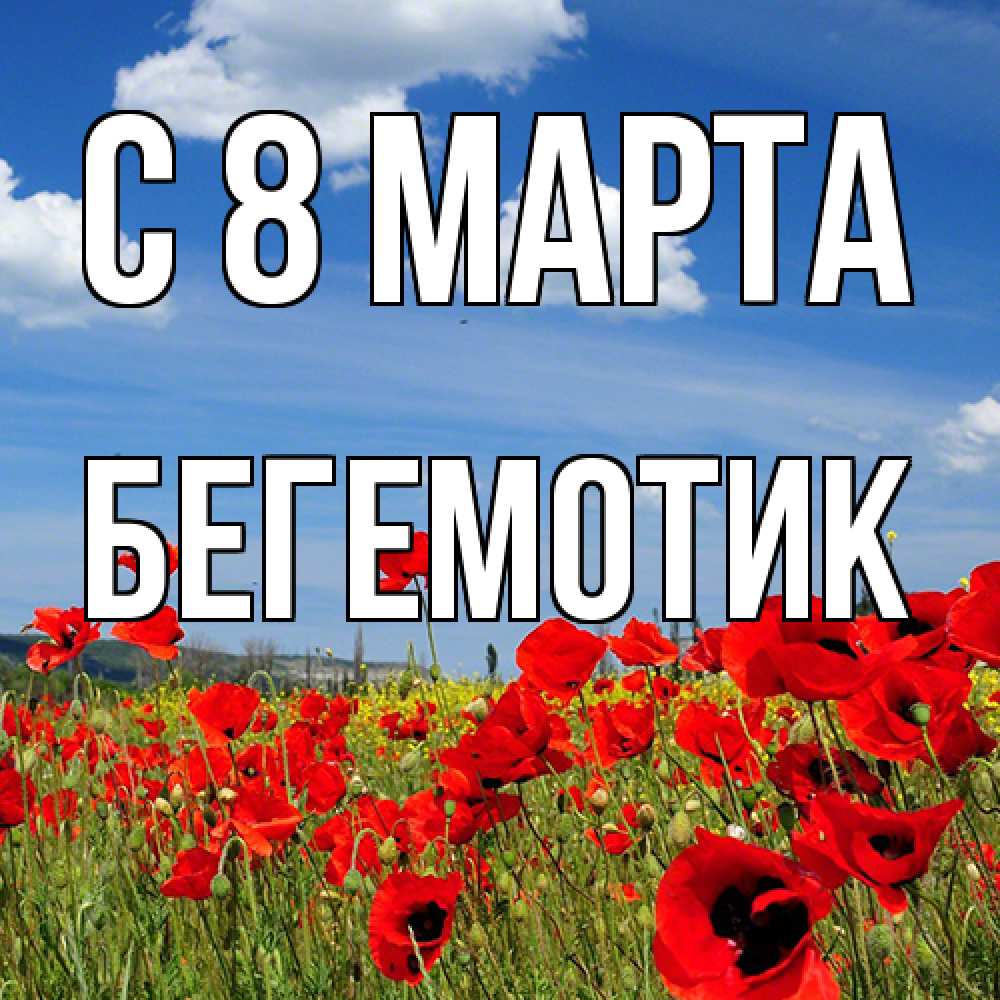 Открытка на каждый день с именем, Бегемотик C 8 МАРТА международный женский день 1 Прикольная открытка с пожеланием онлайн скачать бесплатно 