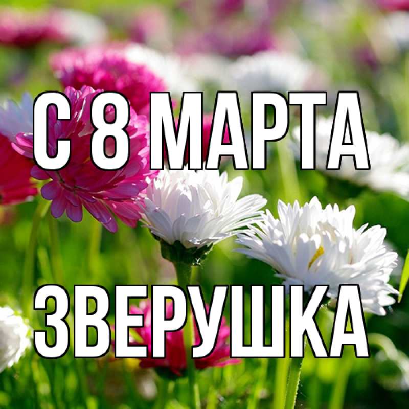 Картинка C 8 МАРТА, Зверушка