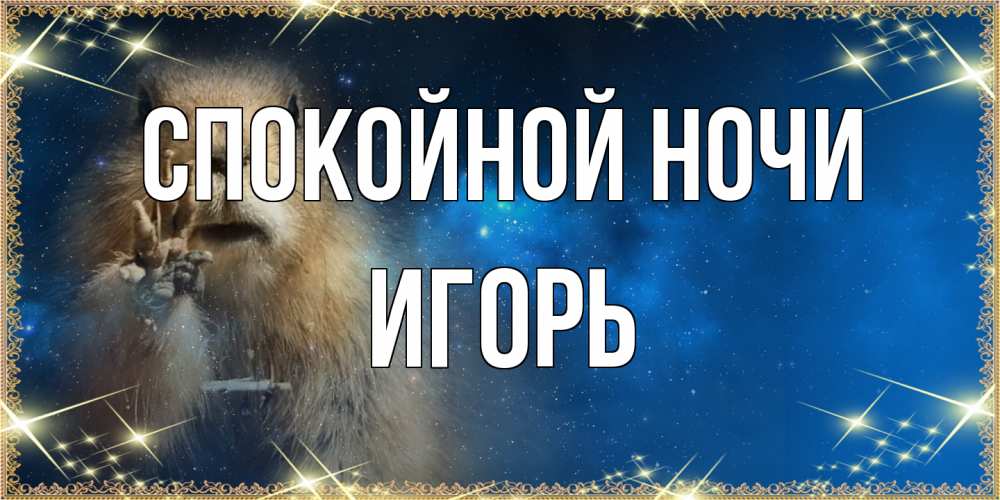Открытка на каждый день с именем, Игорь Спокойной ночи спокойной ночи сладких снов Прикольная открытка с пожеланием онлайн скачать бесплатно 