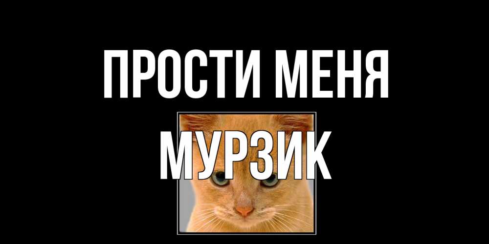Открытка на каждый день с именем, Мурзик Прости меня рыжий грустный кот просит прощения Прикольная открытка с пожеланием онлайн скачать бесплатно 