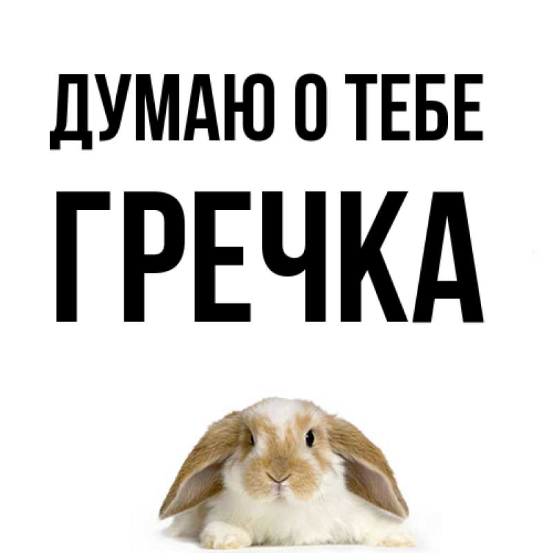 Картинка Думаю о тебе, Гречка