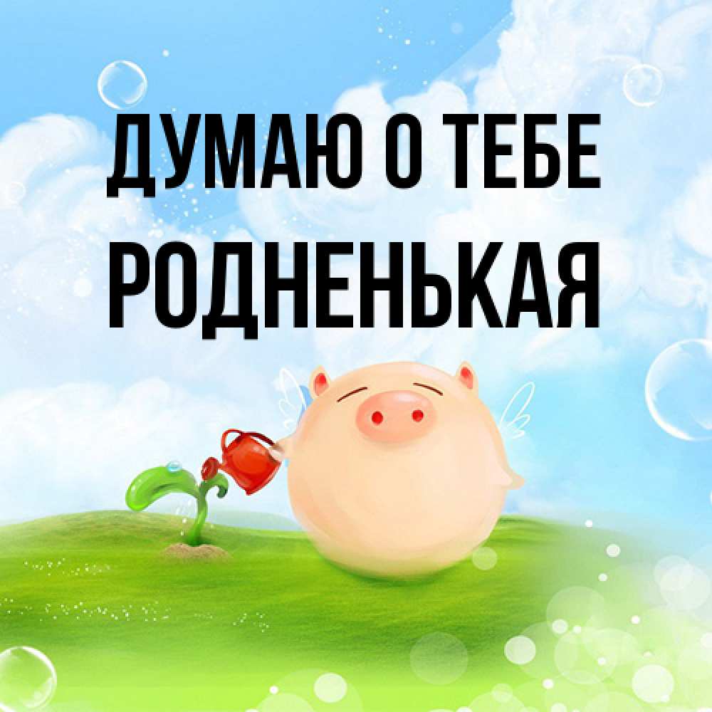 Открытка на каждый день с именем, Родненькая Думаю о тебе позитивная свинюшка Прикольная открытка с пожеланием онлайн скачать бесплатно 