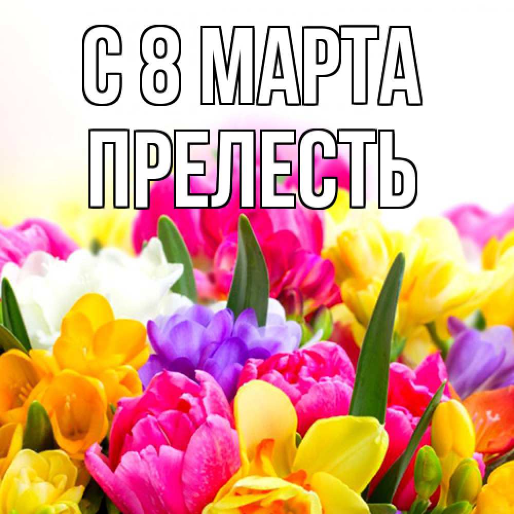 Открытка на каждый день с именем, прелесть C 8 МАРТА тюльпаны Прикольная открытка с пожеланием онлайн скачать бесплатно 