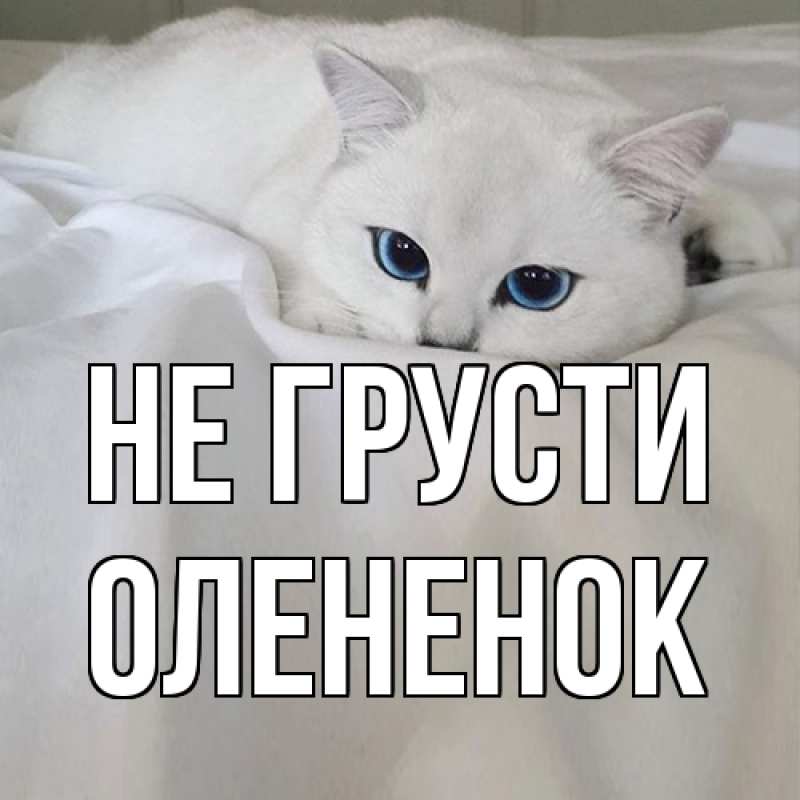 Картинка Не грусти, Олененок