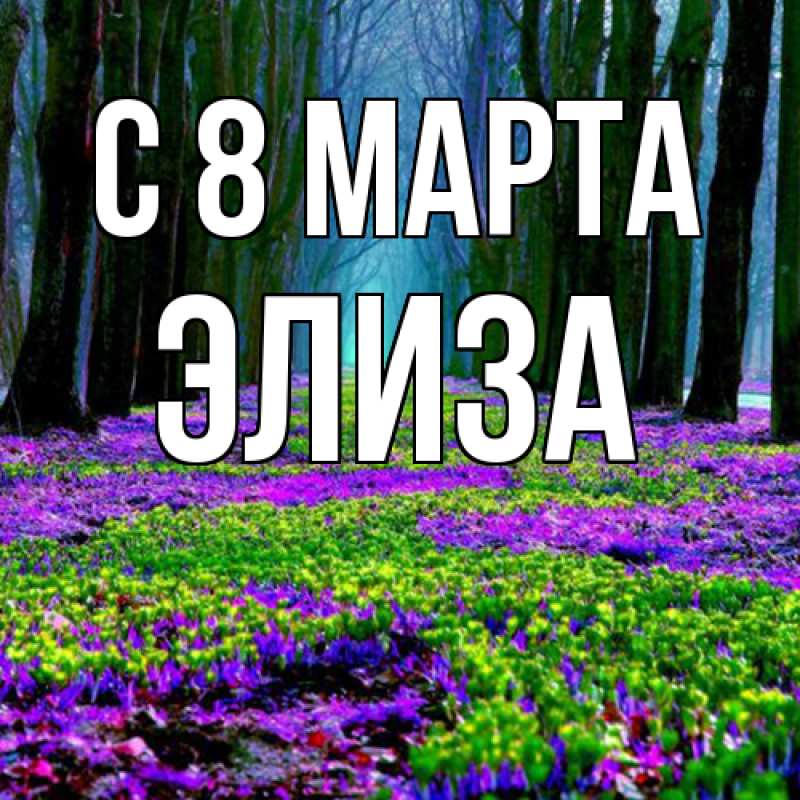 Картинка C 8 МАРТА, Элиза