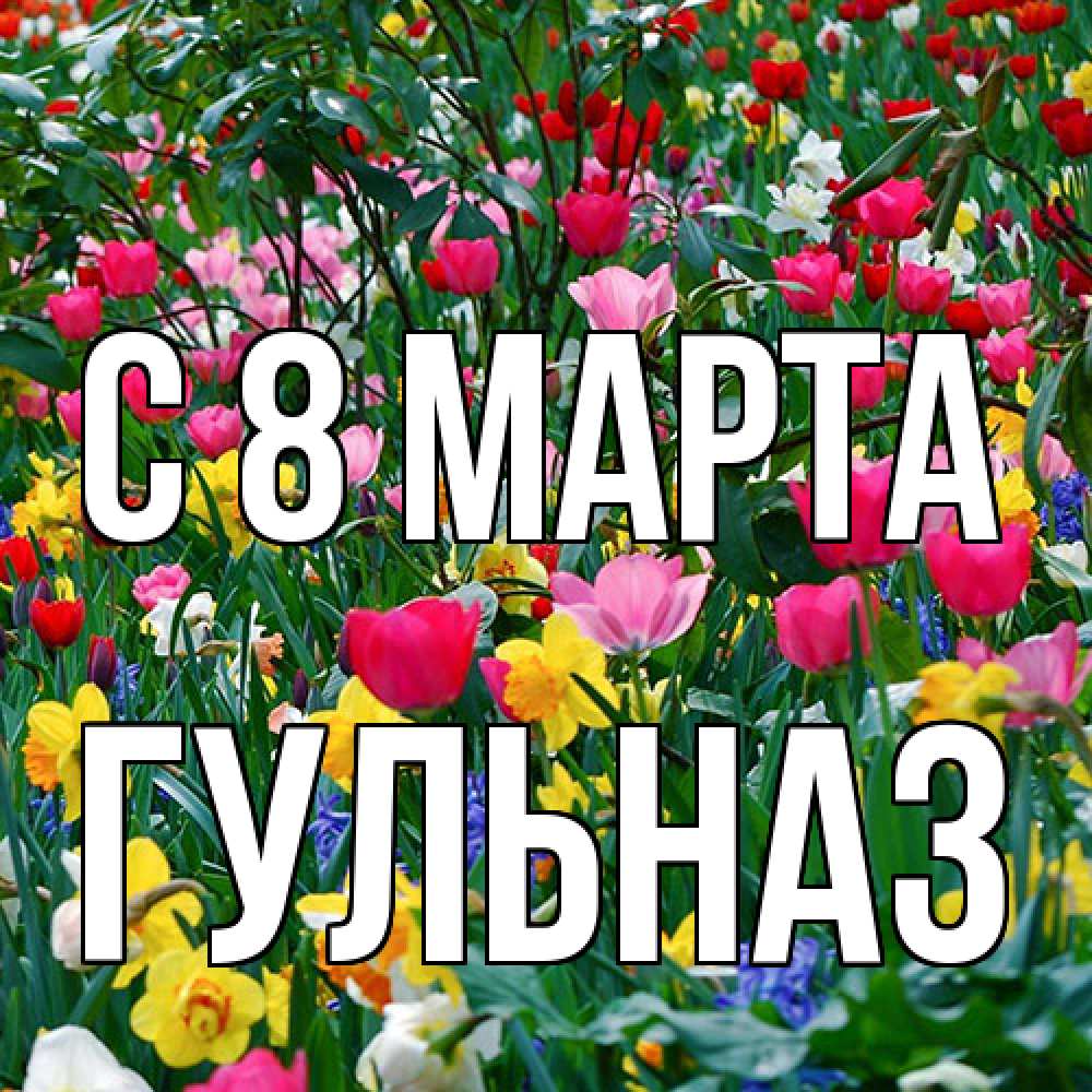 Открытка на каждый день с именем, Гульназ C 8 МАРТА с международным женским днем поздравления для женщины Прикольная открытка с пожеланием онлайн скачать бесплатно 