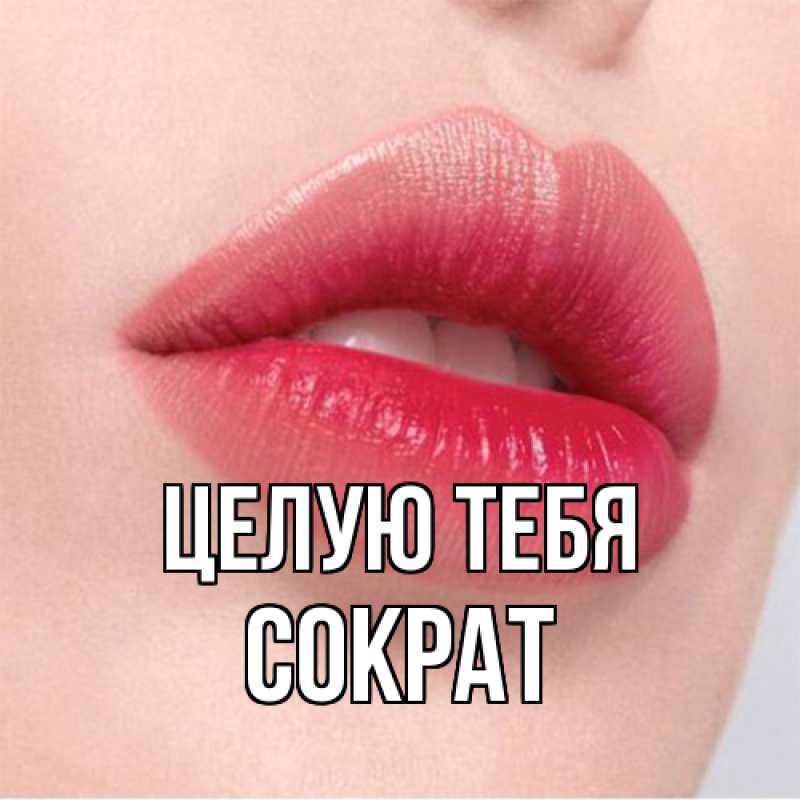 Картинка Целую тебя, Сократ