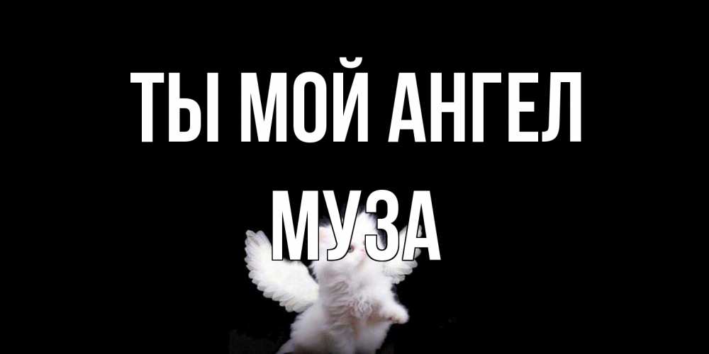 Открытка на каждый день с именем, Муза Ты мой ангел Кот ангел Прикольная открытка с пожеланием онлайн скачать бесплатно 