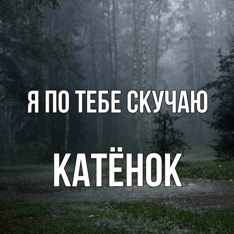 Картинка Я по тебе скучаю, Катёнок