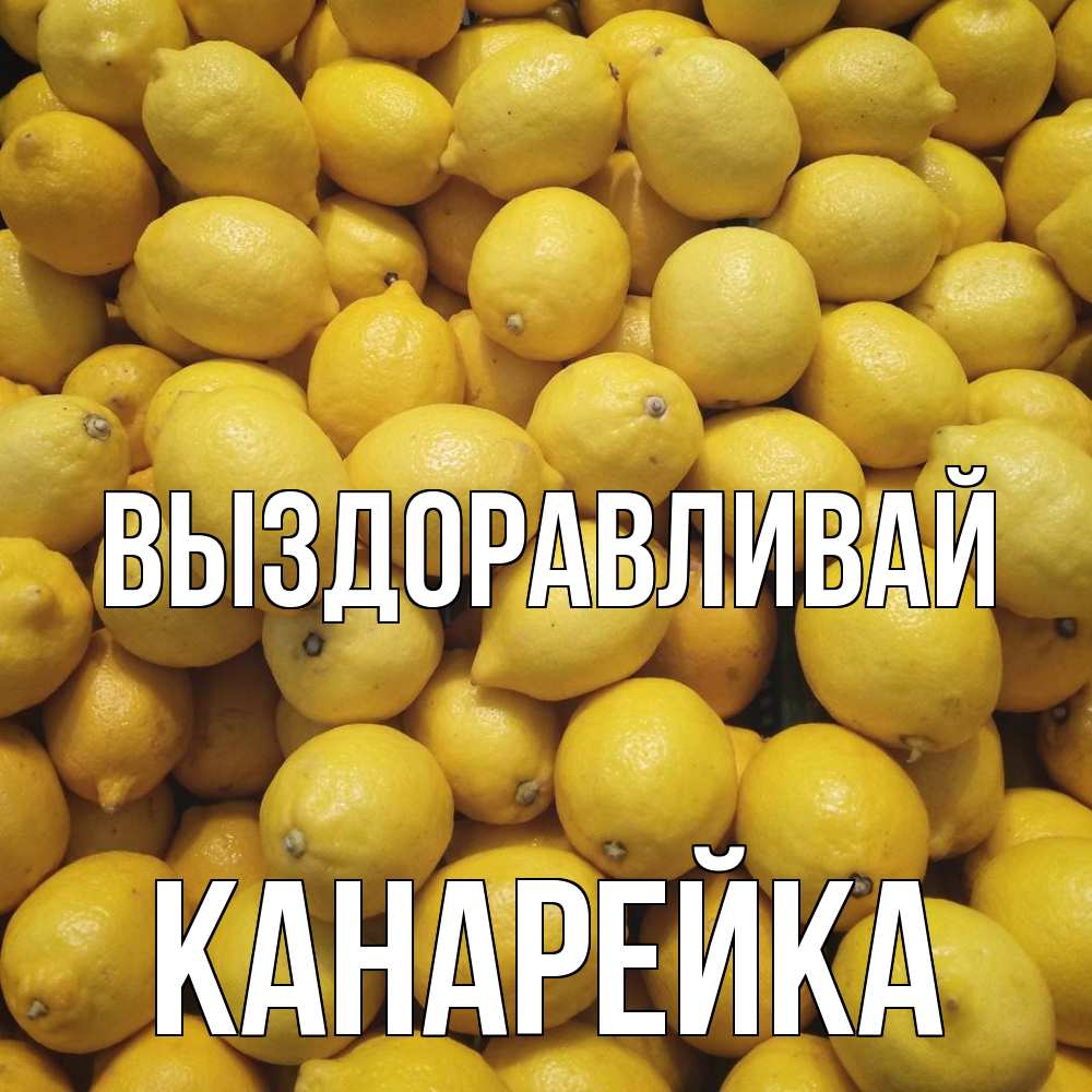 Открытка на каждый день с именем, Канарейка Выздоравливай это точно поможет Прикольная открытка с пожеланием онлайн скачать бесплатно 