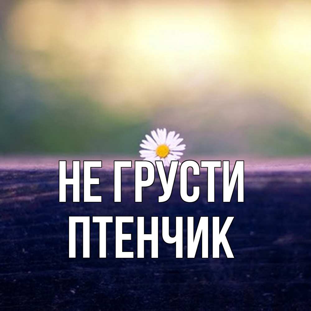 Открытка на каждый день с именем, Птенчик Не грусти красота Прикольная открытка с пожеланием онлайн скачать бесплатно 