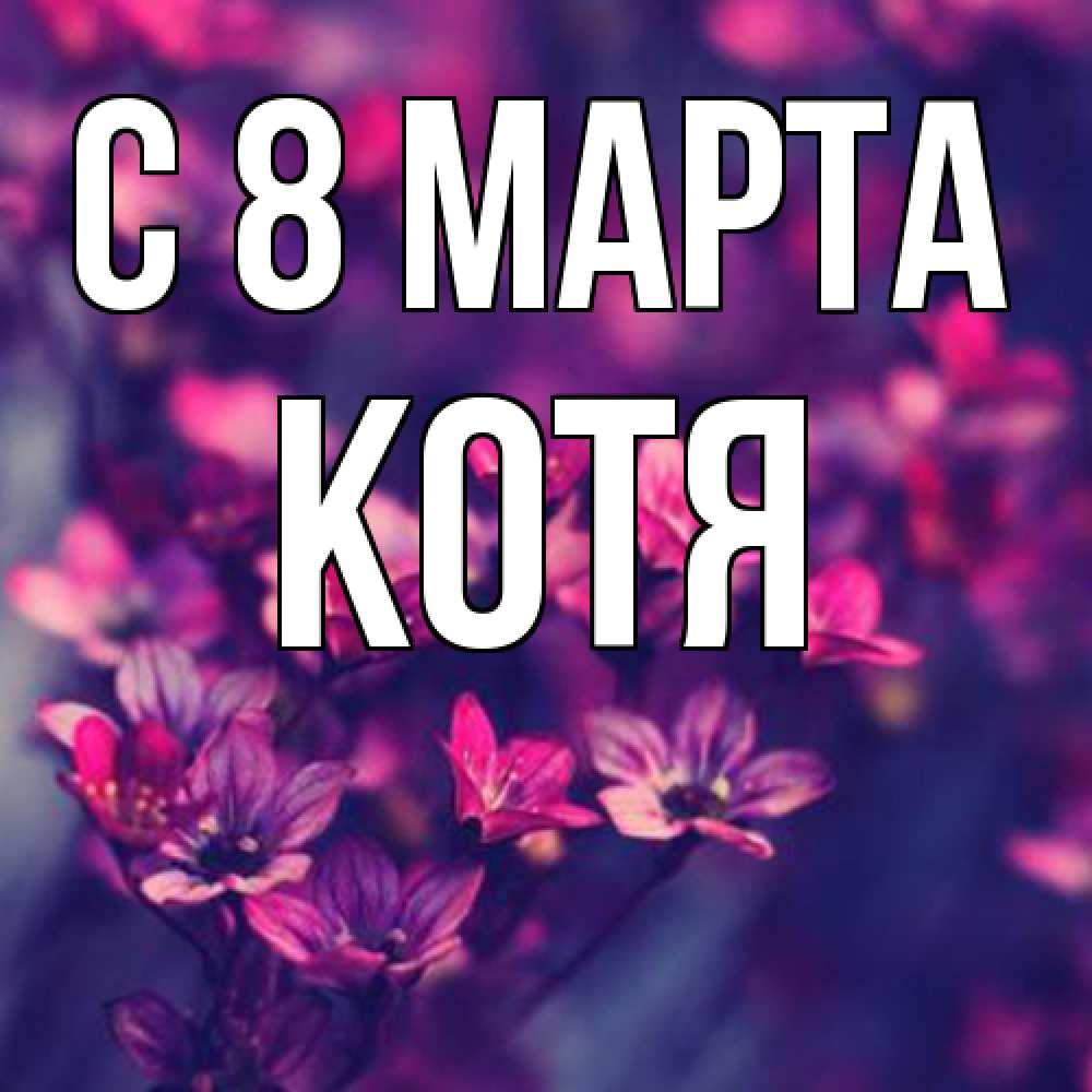 Открытка на каждый день с именем, Котя C 8 МАРТА небольшие цветы 1 Прикольная открытка с пожеланием онлайн скачать бесплатно 