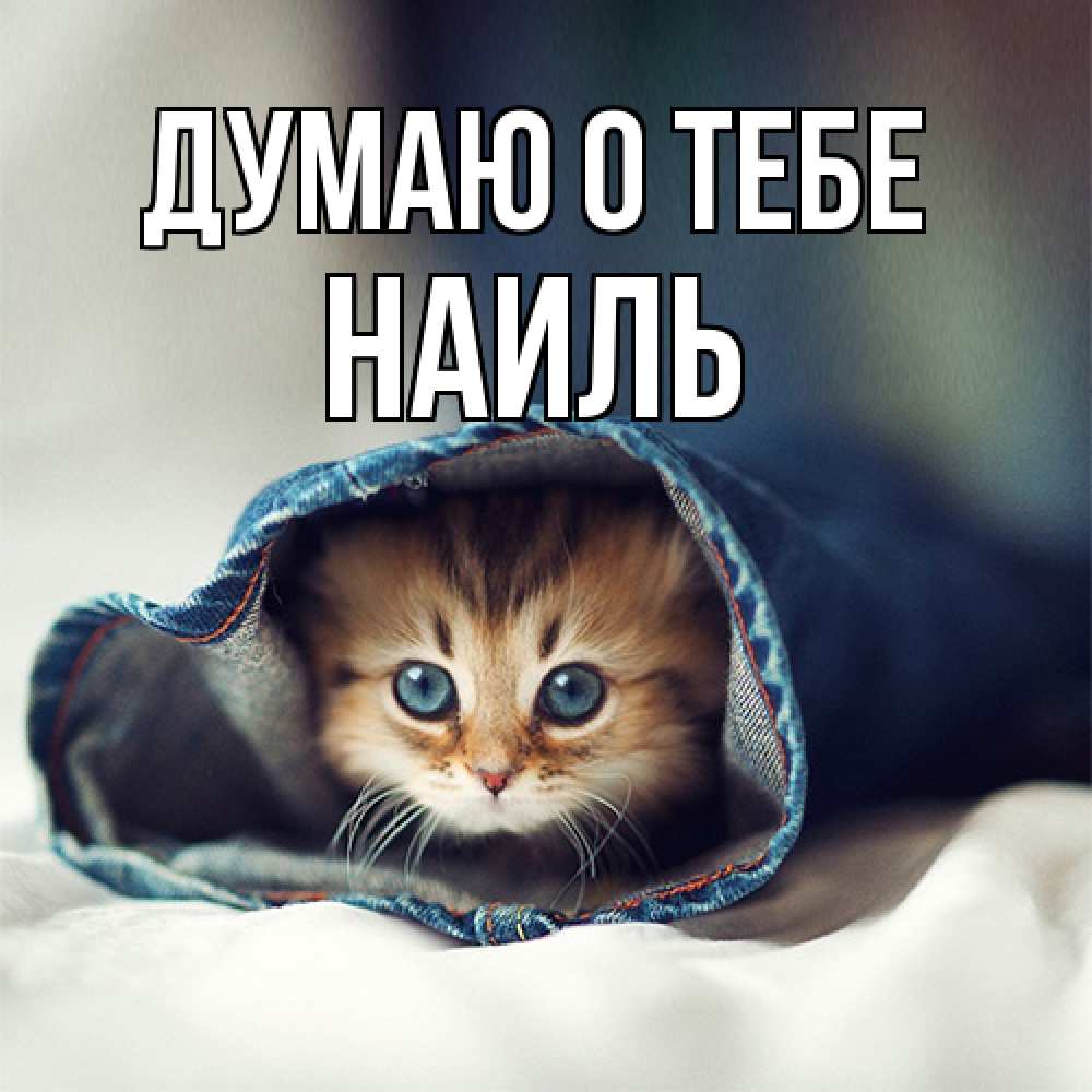 Открытка на каждый день с именем, Наиль Думаю о тебе мне без тебя плохо Прикольная открытка с пожеланием онлайн скачать бесплатно 