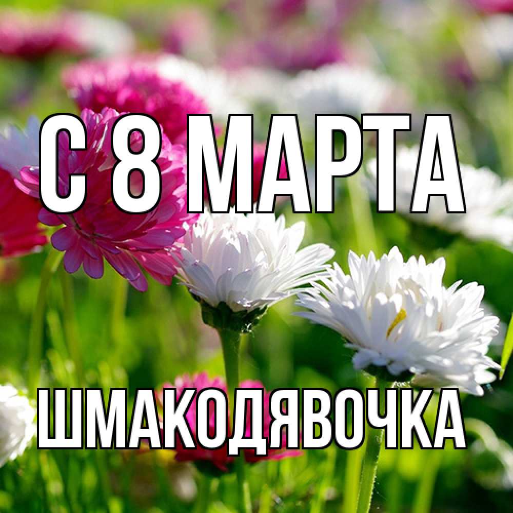 Открытка на каждый день с именем, шмакодявочка C 8 МАРТА международный женский день 1 Прикольная открытка с пожеланием онлайн скачать бесплатно 