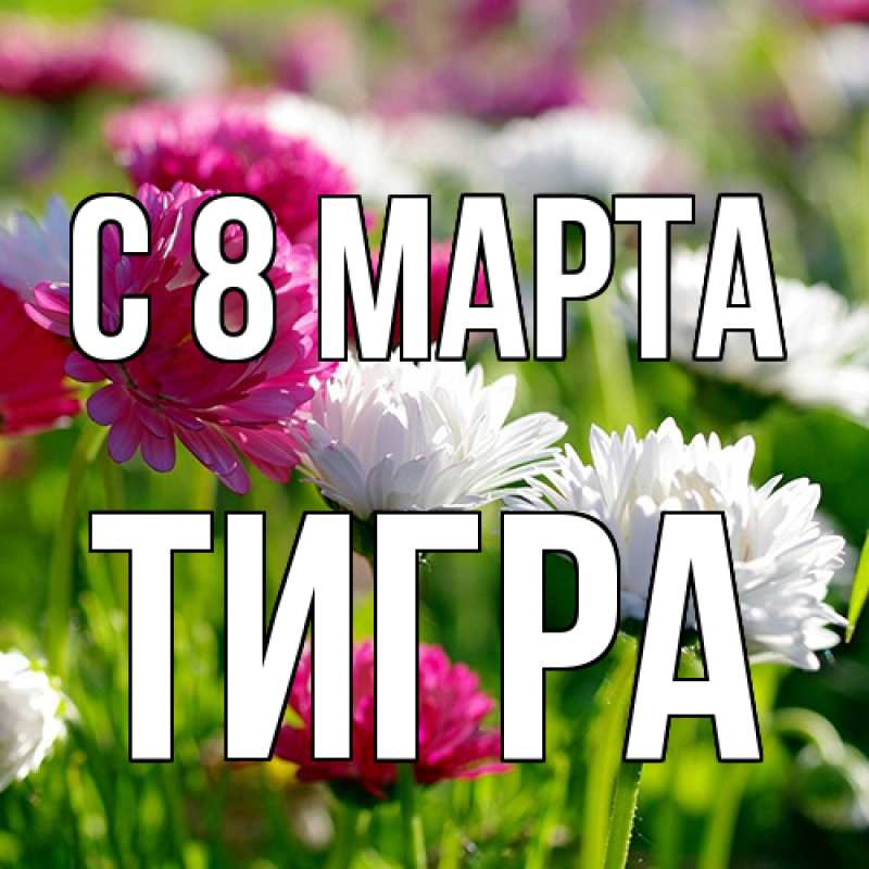 Картинка C 8 МАРТА, Тигpа