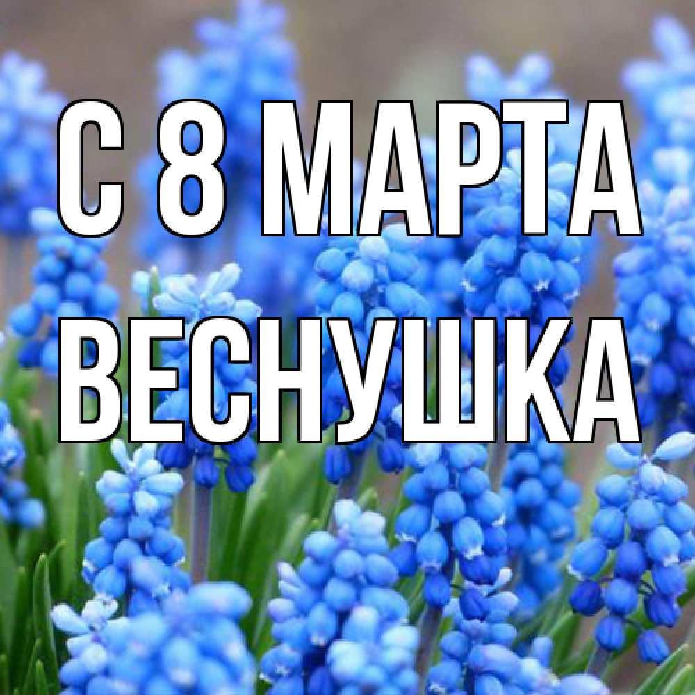 Открытка на каждый день с именем, веснушка C 8 МАРТА Поздравительная открытка для женщин с цветами на праздничную дату Прикольная открытка с пожеланием онлайн скачать бесплатно 