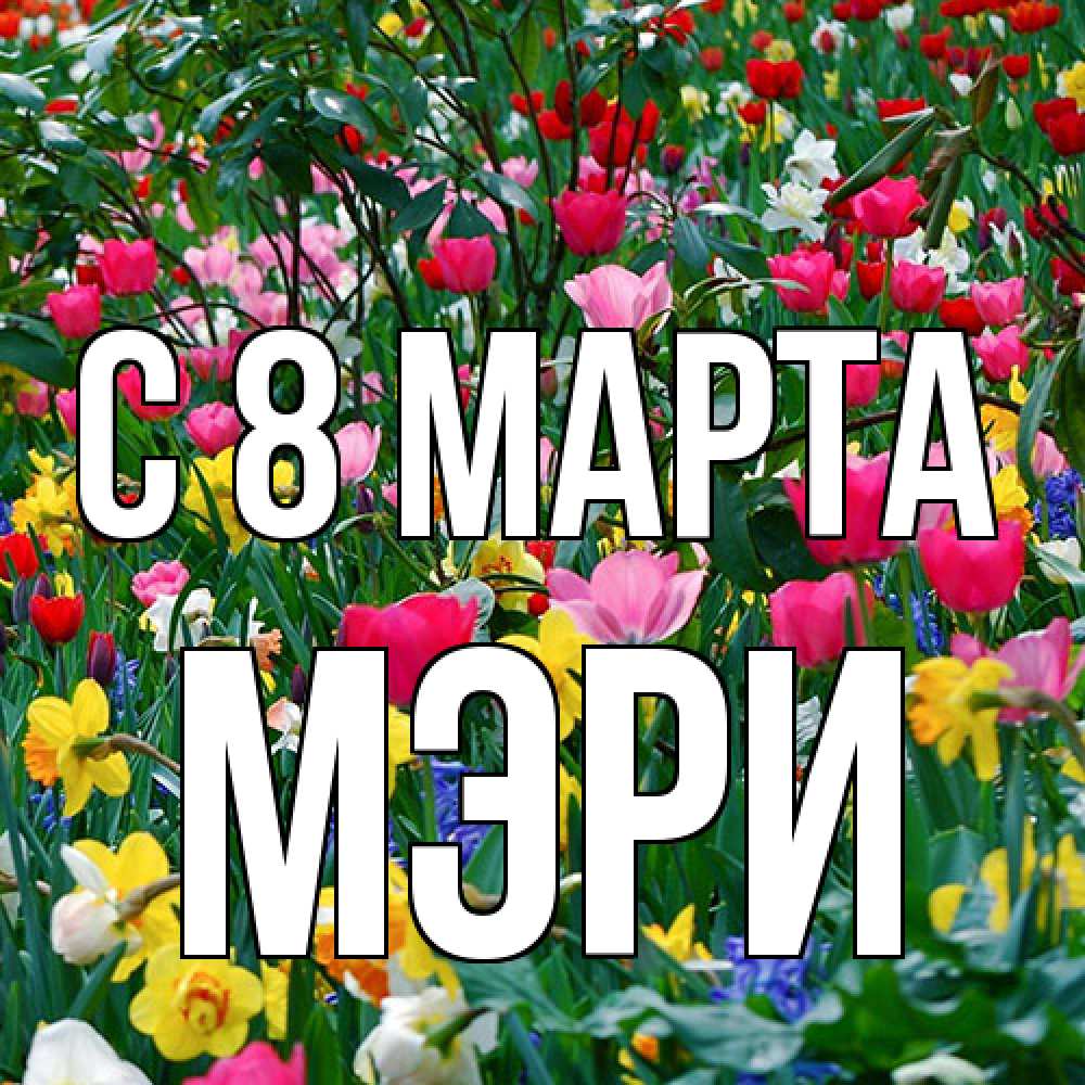 Открытка на каждый день с именем, Мэри C 8 МАРТА с международным женским днем поздравления для женщины Прикольная открытка с пожеланием онлайн скачать бесплатно 