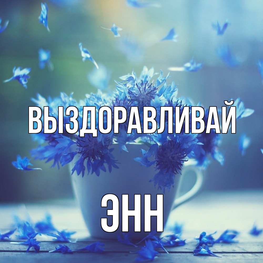 Открытка на каждый день с именем, Энн Выздоравливай кружка с зельем и цветами Прикольная открытка с пожеланием онлайн скачать бесплатно 