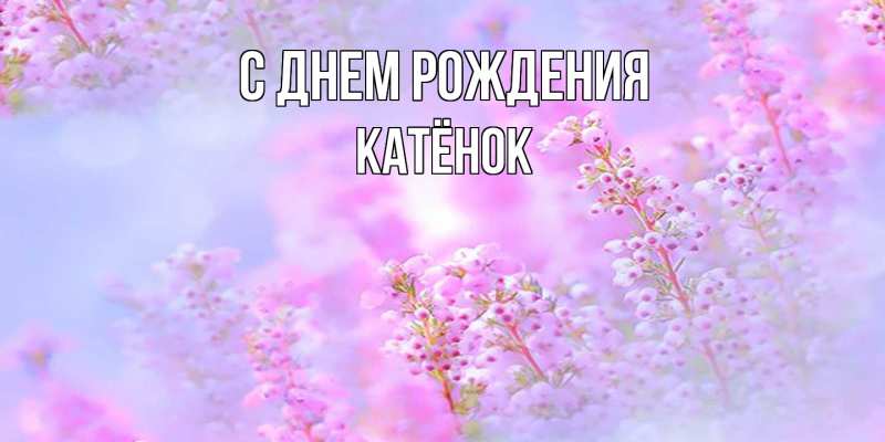Картинка С днем рождения, Катёнок