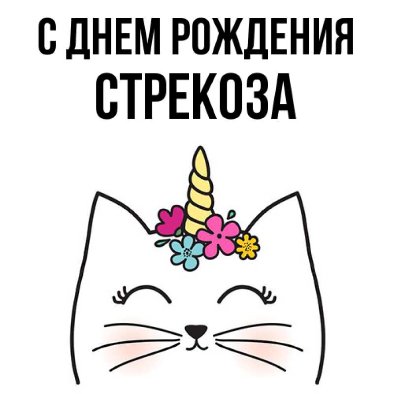 Картинка С днем рождения, Стрекоза